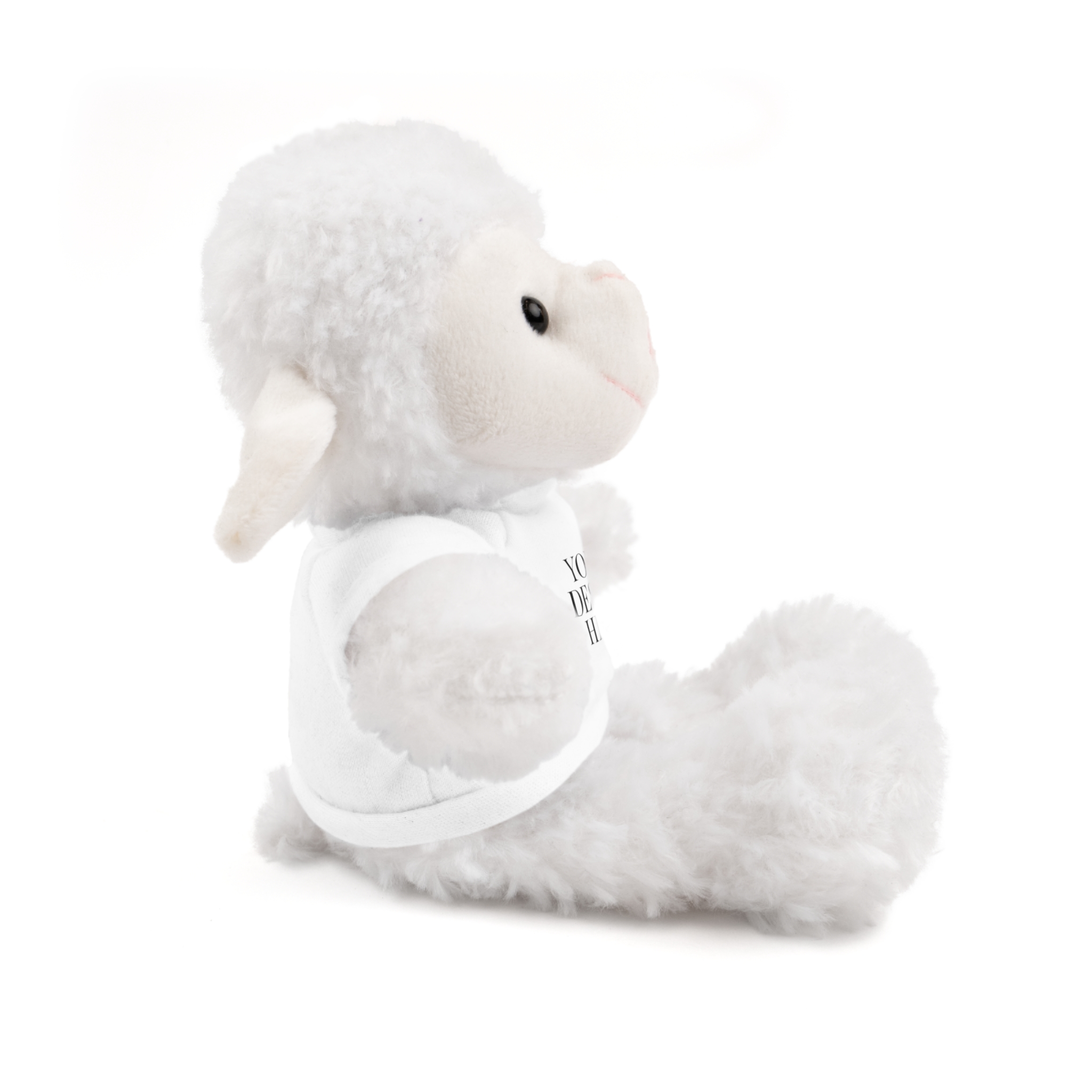 Personalized Plush Toys with Custom T-Shirts — Plush Gift for Kids & Couples - Image 10